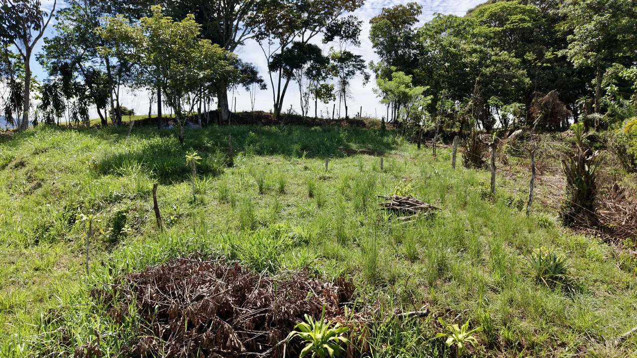 Home Construction Site For Sale in Convento - Gallery image 5