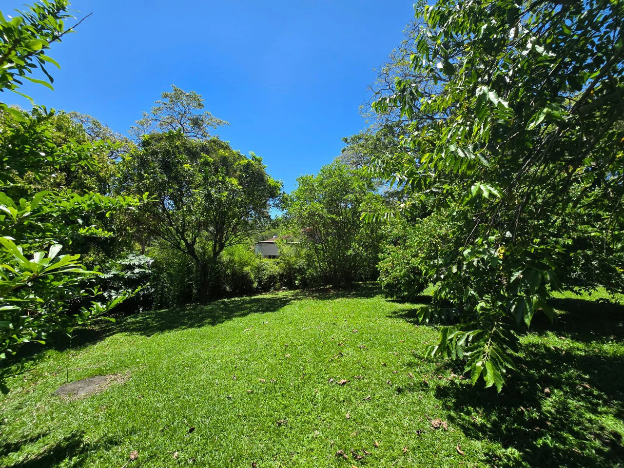 House for Sale with 1,732 sq m Garden in an Exclusive Gated Community in Ciudad Colón - Gallery image 2