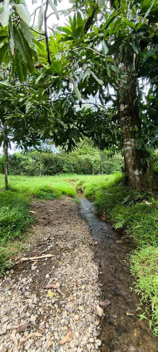 23 Acres of Paradise at Bahia Drake - Gallery image 19