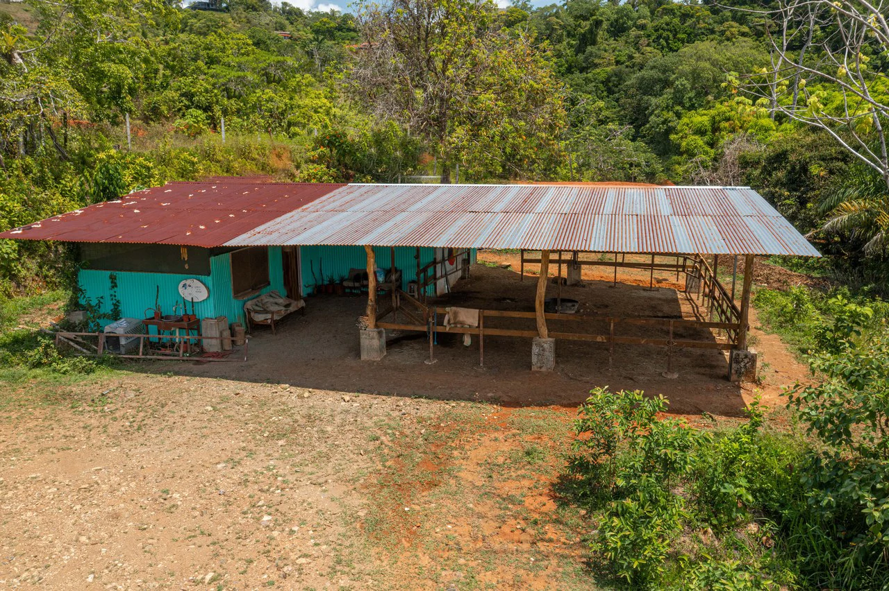 Mountain Mixed Use Building For Sale in Savegre - Gallery image 14
