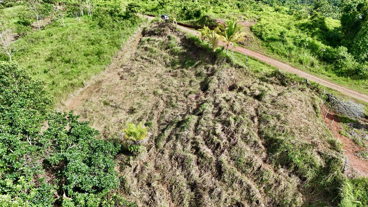 Off-Grid Ocean View Lot | 1.7 Acres in Las Nubes Matapalo Hills - Gallery image 13