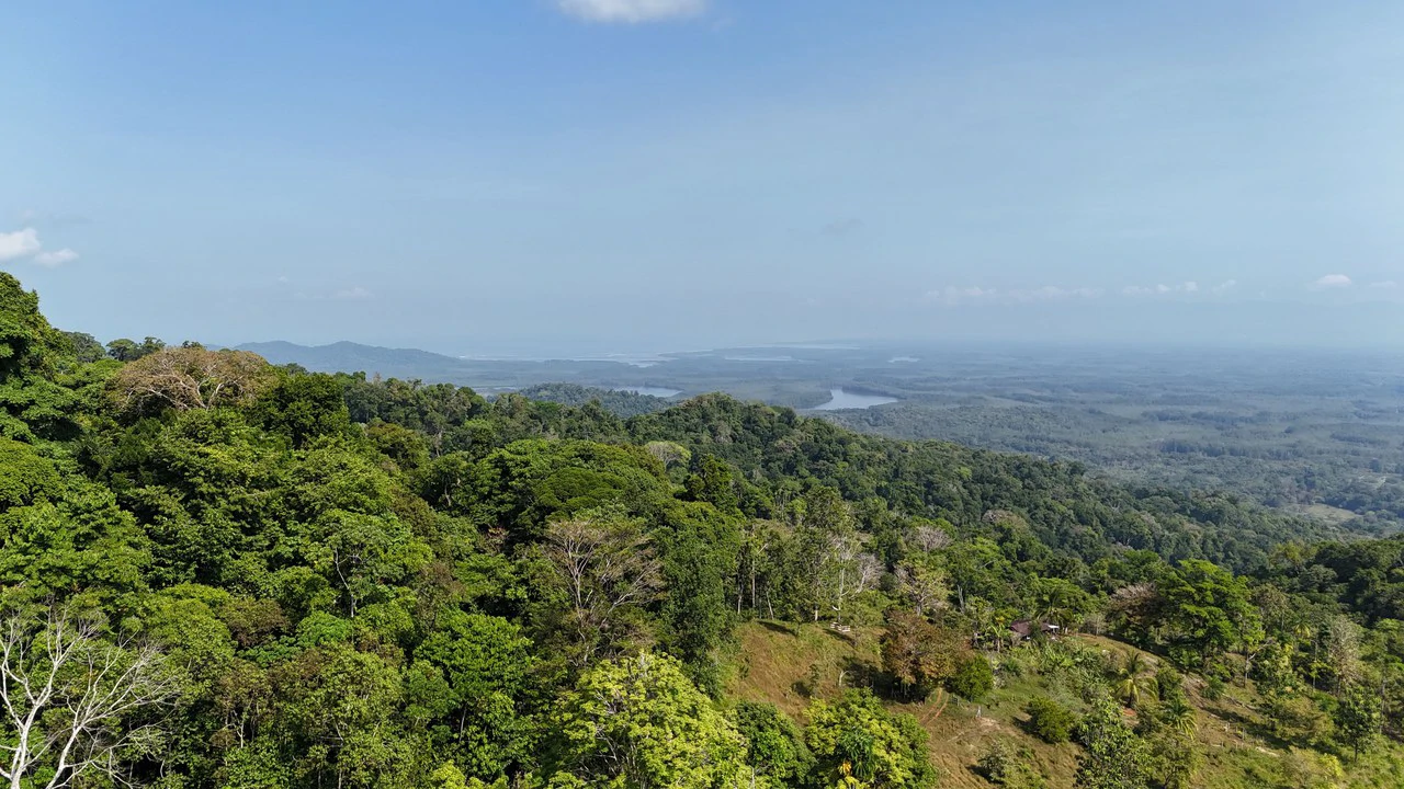 CONSERVATION AND DEVELOPMENT LAND WITH OCEAN VIEW IN SIERPE, COSTA RICA - Gallery image 30