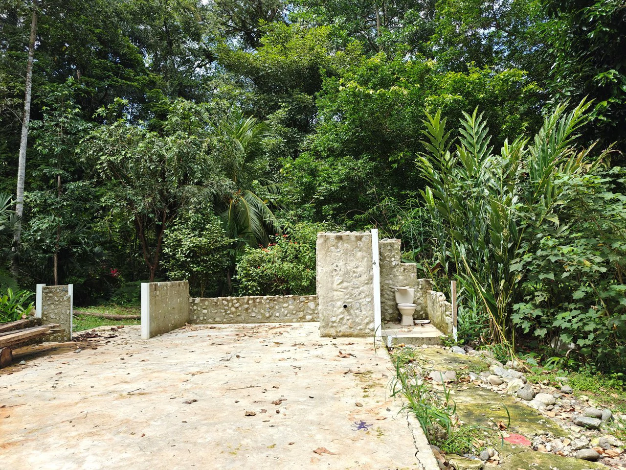 Mountain-Edge Sanctuary with Private Waterfall: 3 Titled Jungle Lots with Platforms, Waterfall, and Income Potential - Gallery image 18