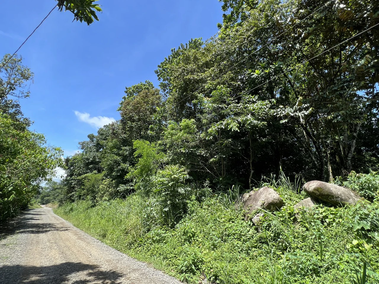 Countryside Home Construction Site For Sale in Convento - photo 6