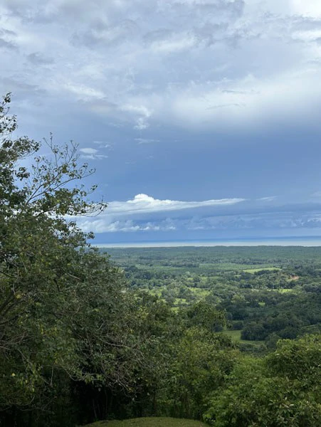 Panoramic 180 Degree Ocean View Lot Ready To Build Close To Ojochal - Gallery image 45