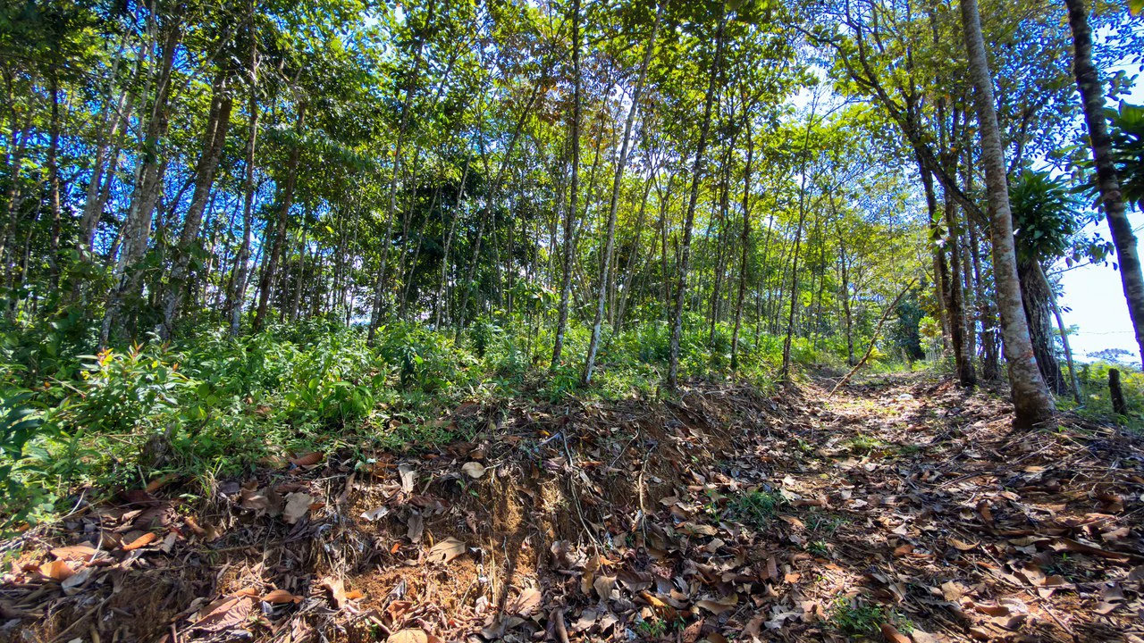 Countryside Home Construction Site For Sale in Cajón - Gallery image 12