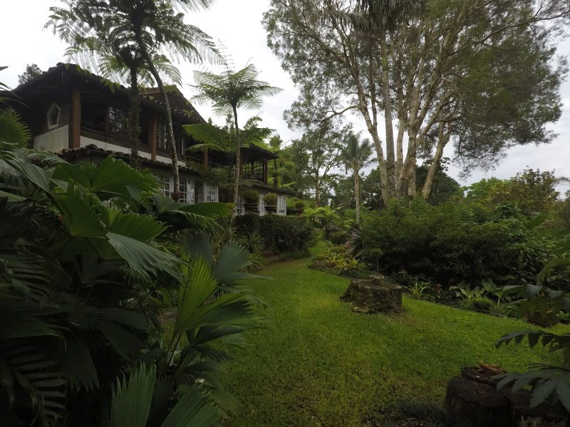 TROPICAL FOREST DREAM 15 min from downtown SJ - Gallery image 3