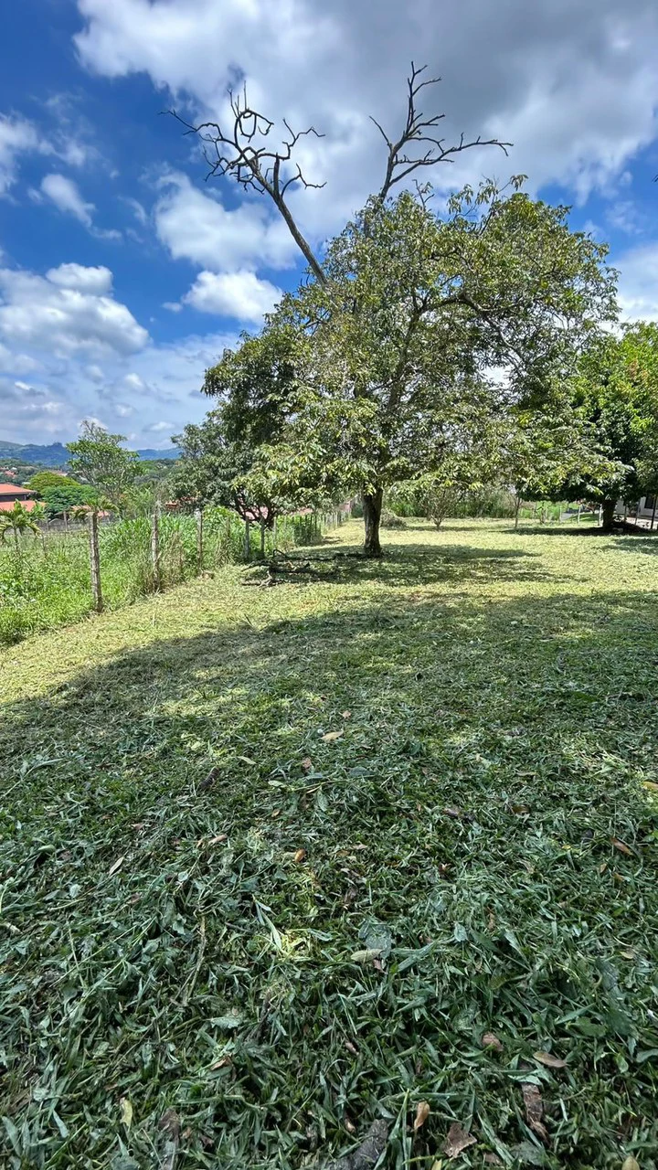 Calas Mixed Uso: 2,000 m2 Lot for Apts, Commercial or Bodegas! - Gallery image 5