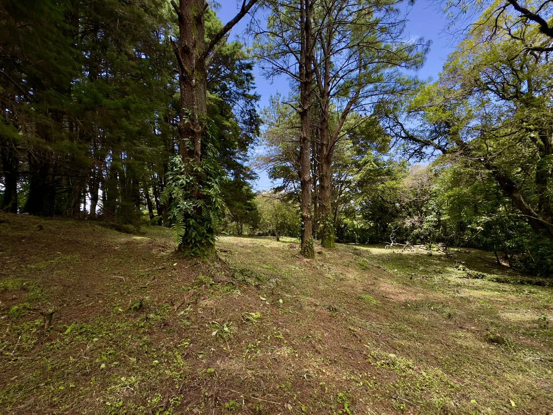 Live in harmony with nature in San Rafael de Heredia - Gallery image 10