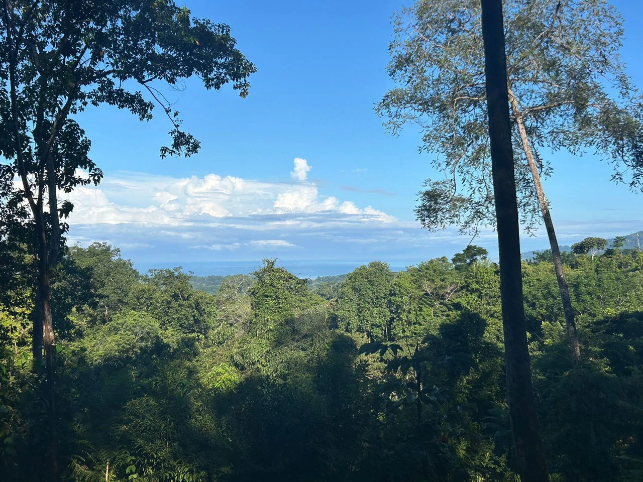 Marvelous Ocean View Parcel in Uvita. - Gallery image 17