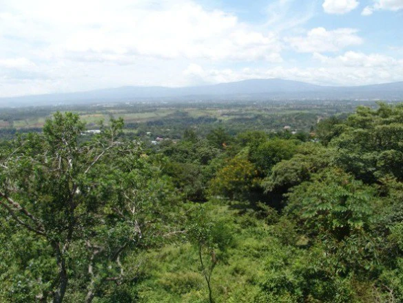 Modern style house for sale Ciudad Colon in gated community - Gallery image 19