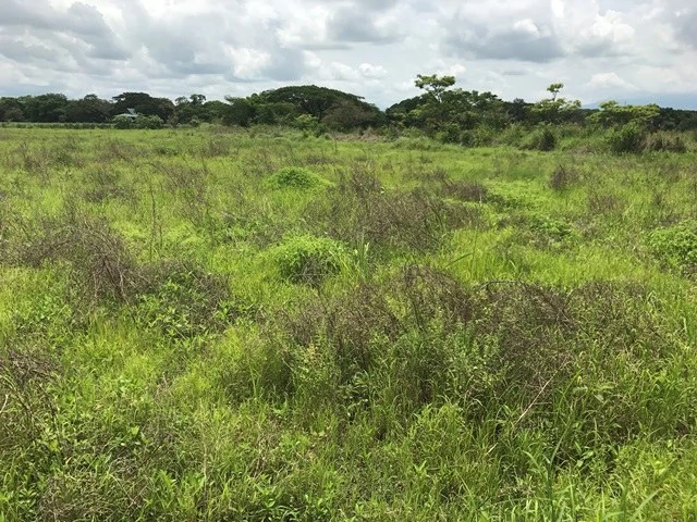 Commercial Development Land for Sale in Guanacaste, Costa Rica - Gallery image 5