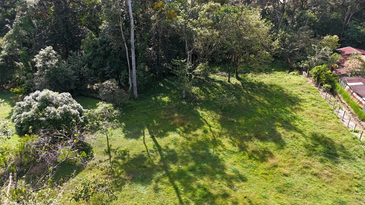 Prime Riverfront Property in Hatillo - Gallery image 6