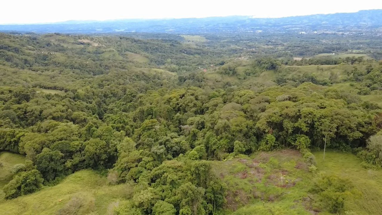 Lot for sale, located in San Blas, Perez Zeledon: Almost 1.4 hectares of land for sale with open views of the General Valley.