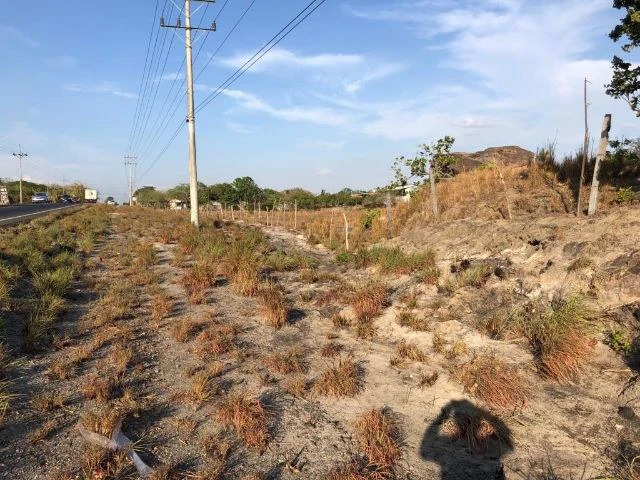 Commercial Property for sale, Located directly in front of the national Route #21 and Diagonal from the new project NYA - Gallery image 6