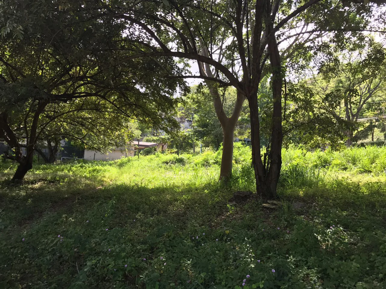 Commercial Property for Sale Located in Playa Hermosa, Guanacaste - Gallery image 7