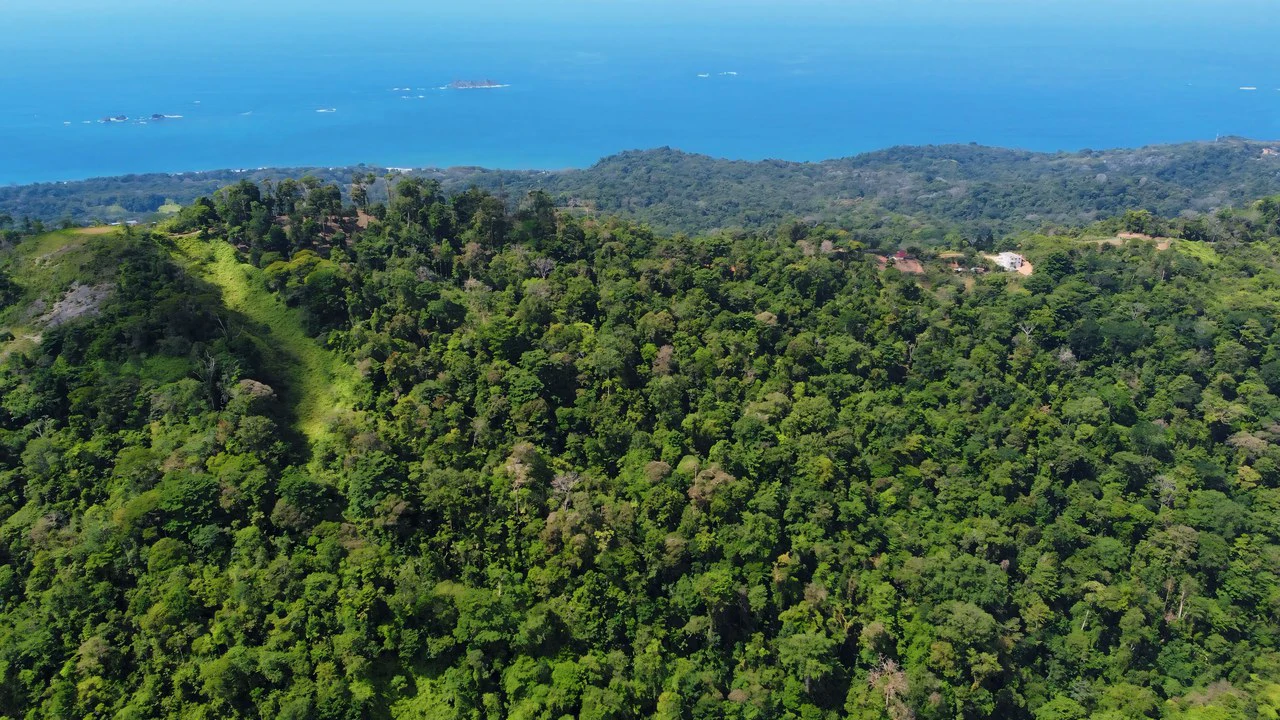 FINCA CERRO DEL TIGRE! OVER 20 ACRES OF PRIMARY FOREST AND WATERFALLS.: Mountain Agricultural Land For Sale in La Unión - Gallery image 8