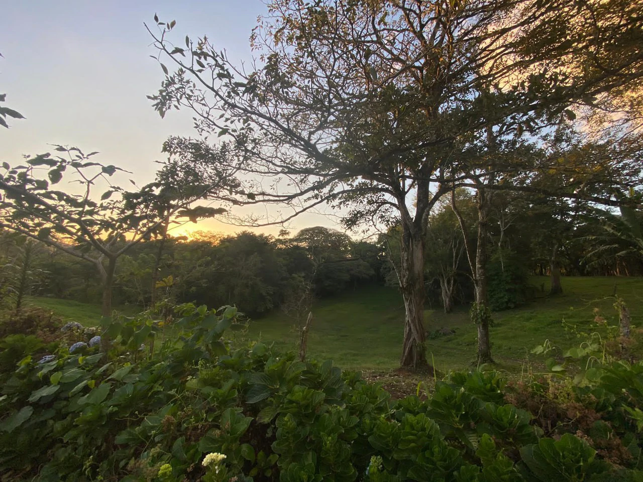 Lake Arenal Area - Sabalito - Great Location - Fantastic Price - Gallery image 9