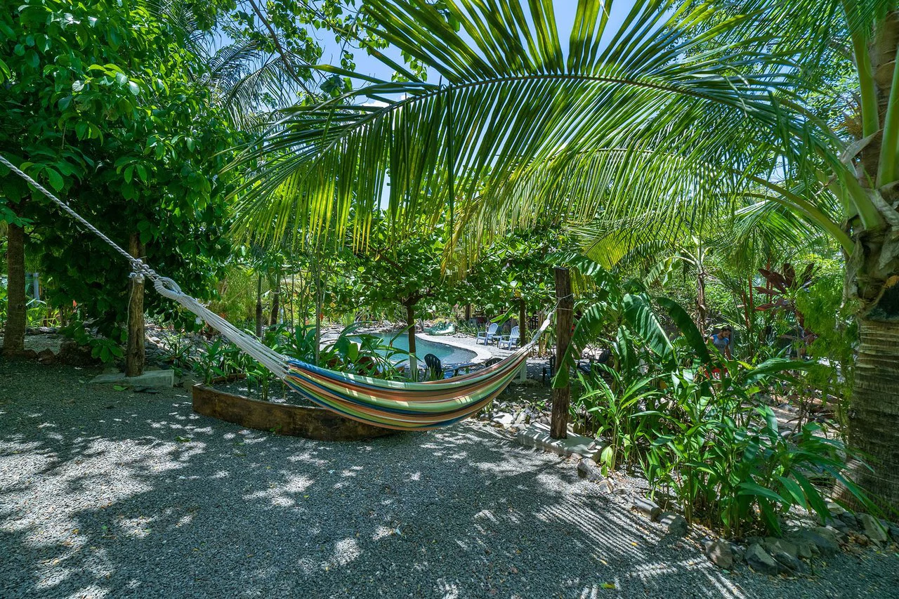 Flor y Bambu Glamping: Unique Glamping Hotel in Playa Grande - True Gem - Gallery image 24