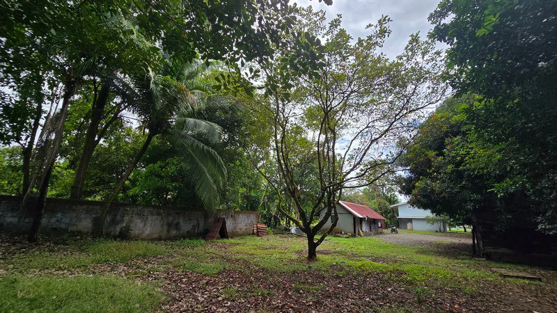 Villa del Mar, one block from the beach in Bejcuo: Fully titled half acre property with 2 level home - Gallery image 78