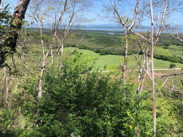 Amazing 50% discount for Huge ocean-view farm for sale surrounded by soft rolling hills and pristine nature - Gallery image 2