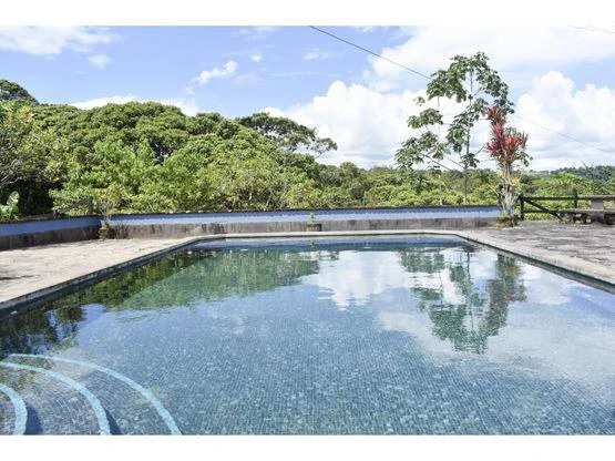 Serene Jungle Farm in Limon Province - Gallery image 18