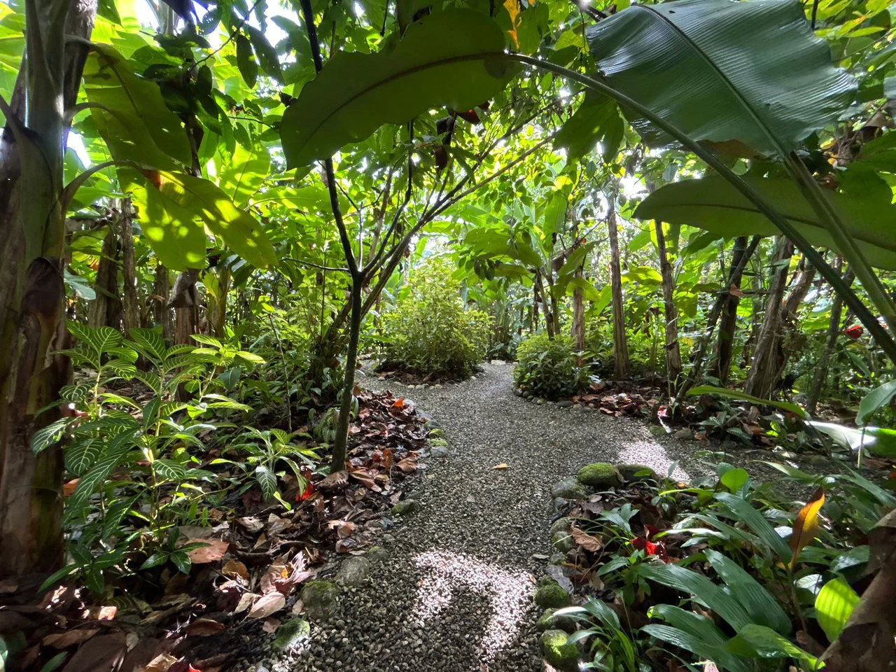 60 Acre Fully Sustainable and Impactful Conservation Initiative Near Golfito: Mountain Multi Unit Building For Sale in Golfito - Gallery image 43