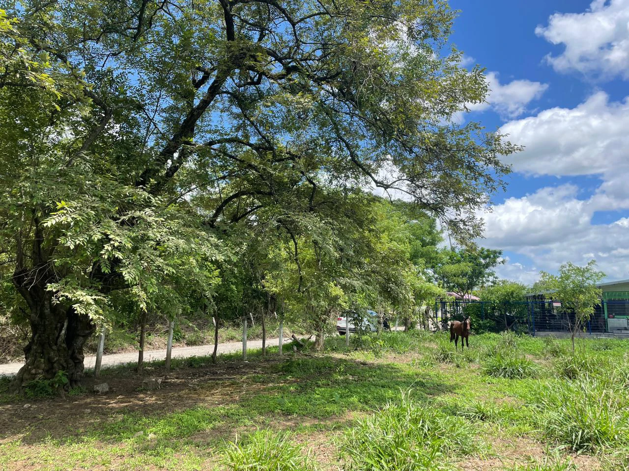Building lots for sale, 6 available properties 10 minutes away from Liberia - Gallery image 13