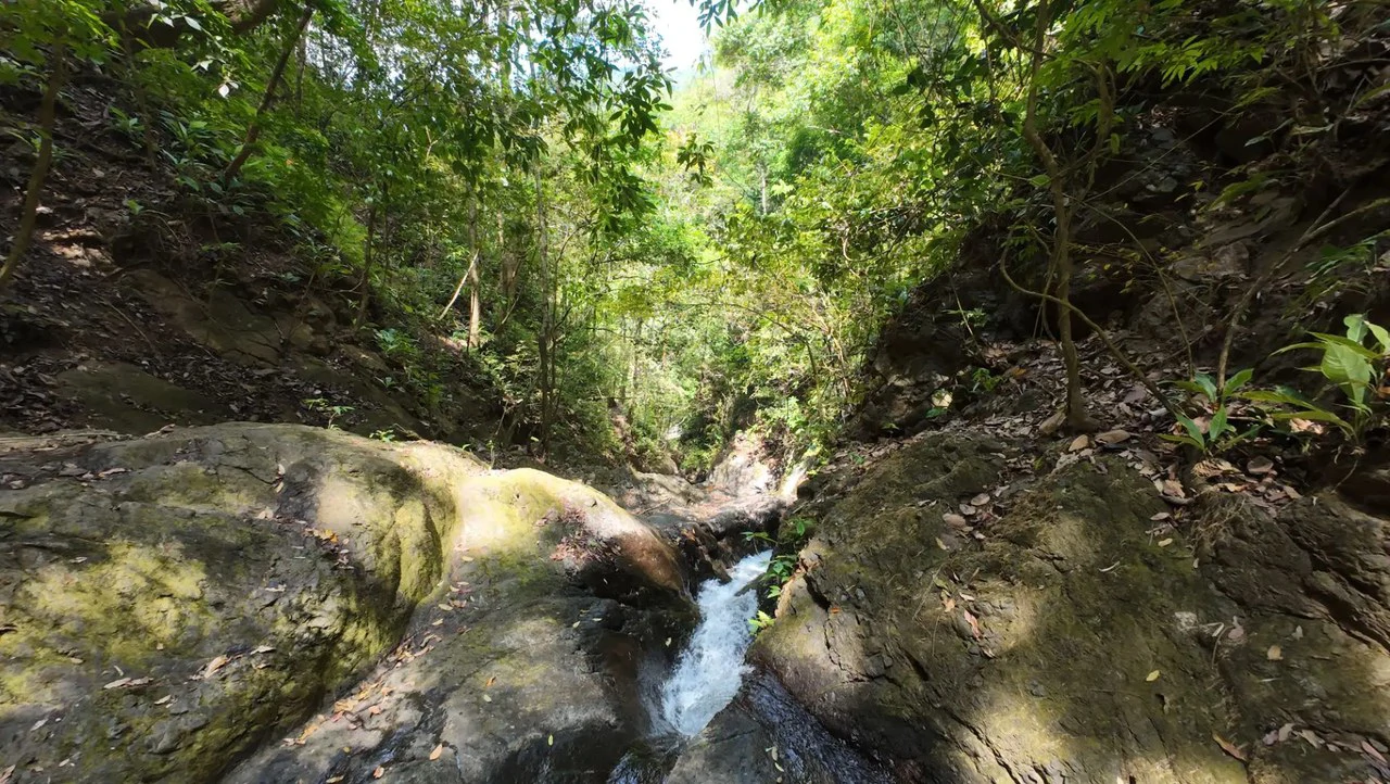 Your Slice of Paradise in Central Pacific Costa Rica! - Gallery image 6