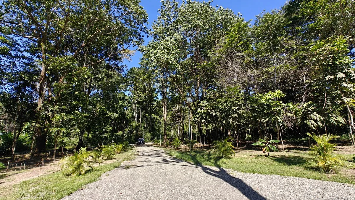 ID 967: 2 Bd/2Ba - Quality Pre-Sale Home on 5,000 sqm Lot in Punta Uva - Gallery image 27