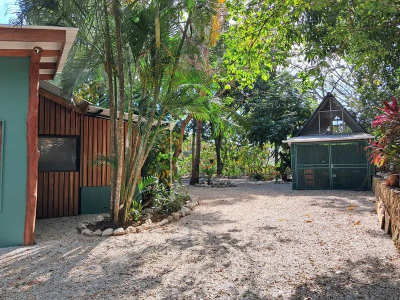 Casa Hippie: Charming Costa Rican-Style Home – Fully Renovated in 2024 - Gallery image 7