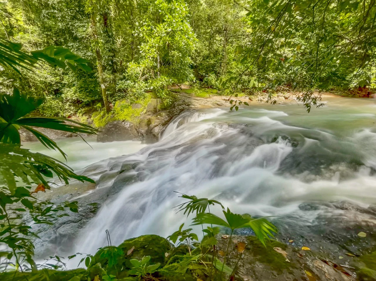 .075 ACRES – 2 Bedroom New Construction Home, Walk to the River, 5min to Playa Matapalo, 15min to Dominical!!!! - Gallery image 30