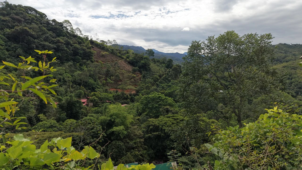 Mountain Home Construction Site For Sale in Chimirol de Rivas - photo 14