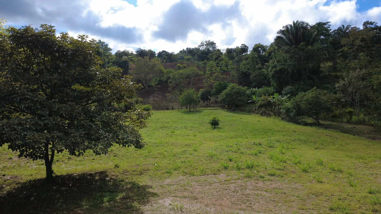 SUSTAINABLE PROPERTY FOR SALE IN THE PRIVACY OF PÉREZ ZELEDÓN, ROSARIO DE PACUAR - Gallery image 11