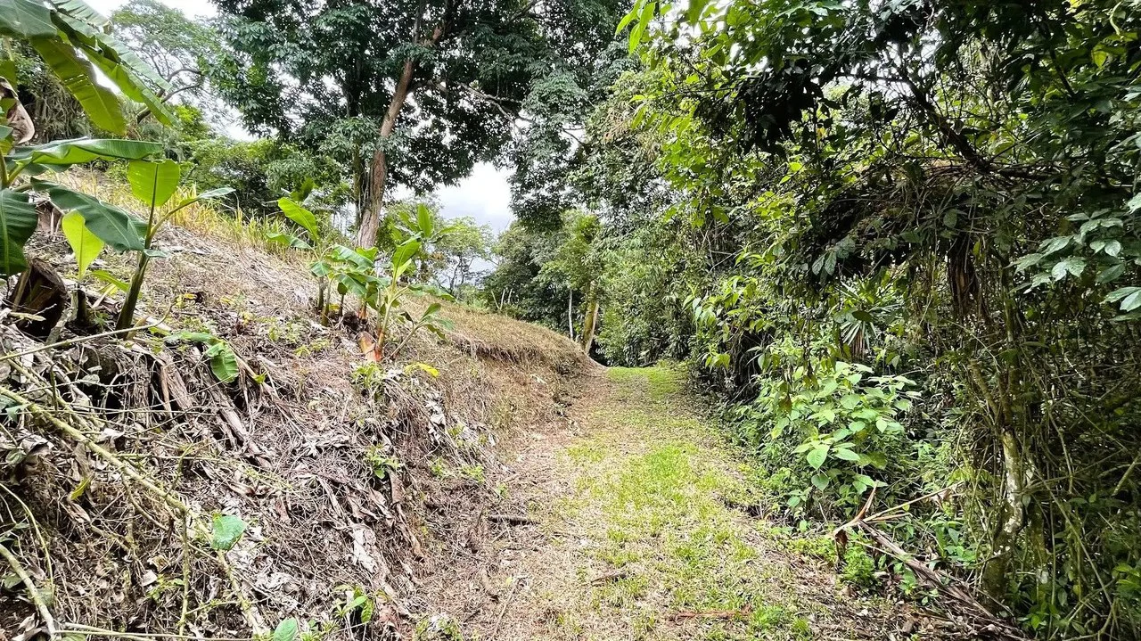 LAND FOR SALE IN SAN MIGUEL, NARANJO - Gallery image 16