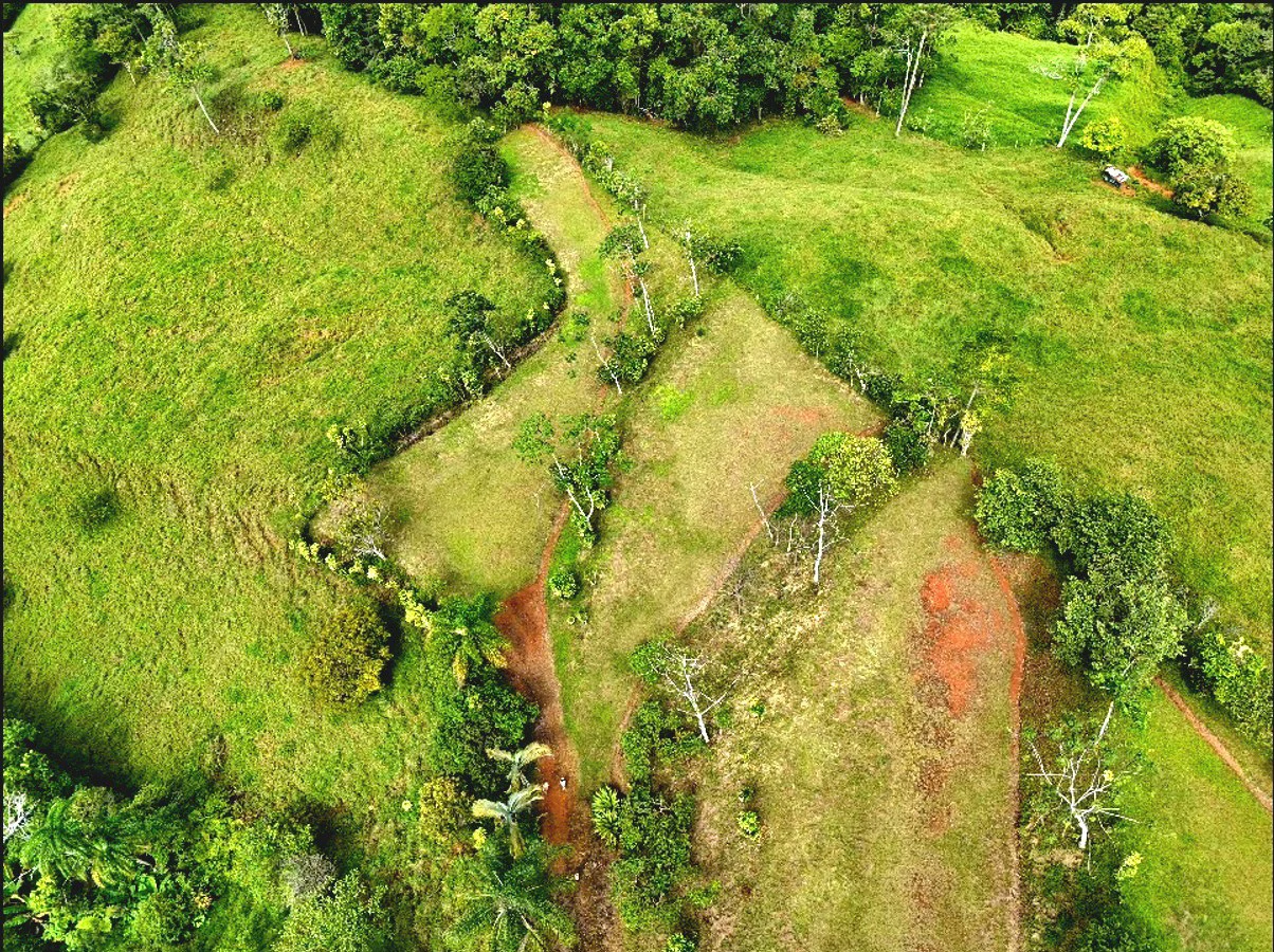 Mountain Home Construction Site For Sale in Miravalles
