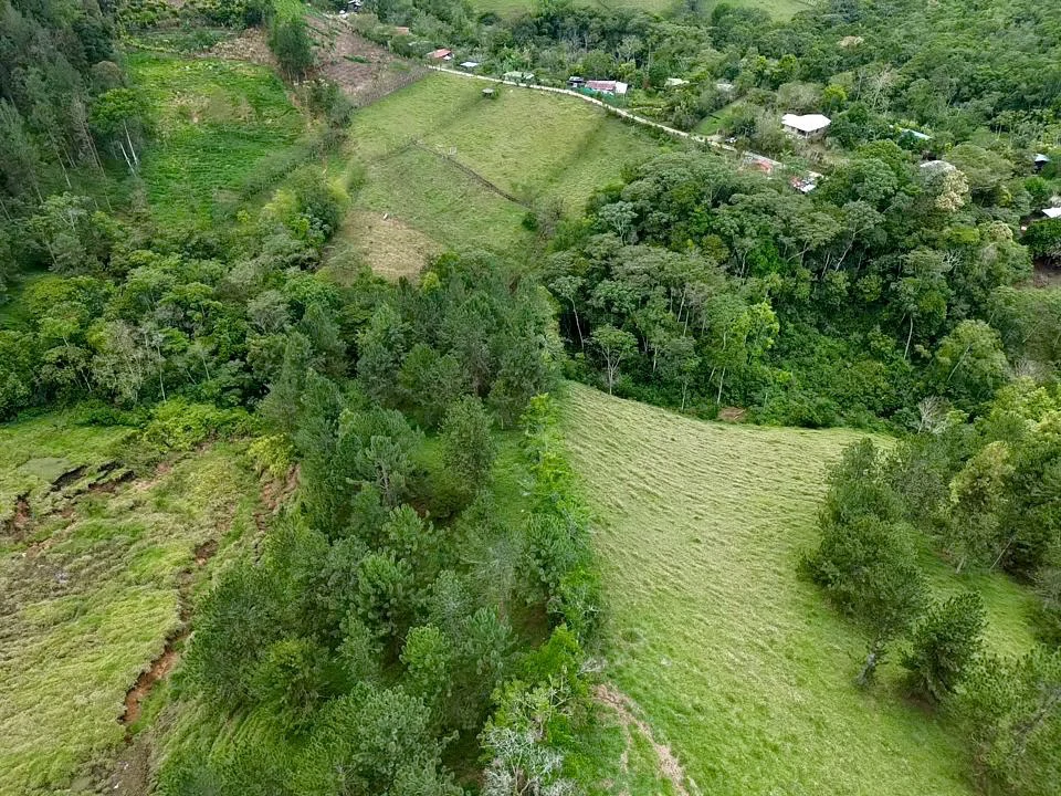54 Acre Ranch in San Vito, Coto Brus - Gallery image 32