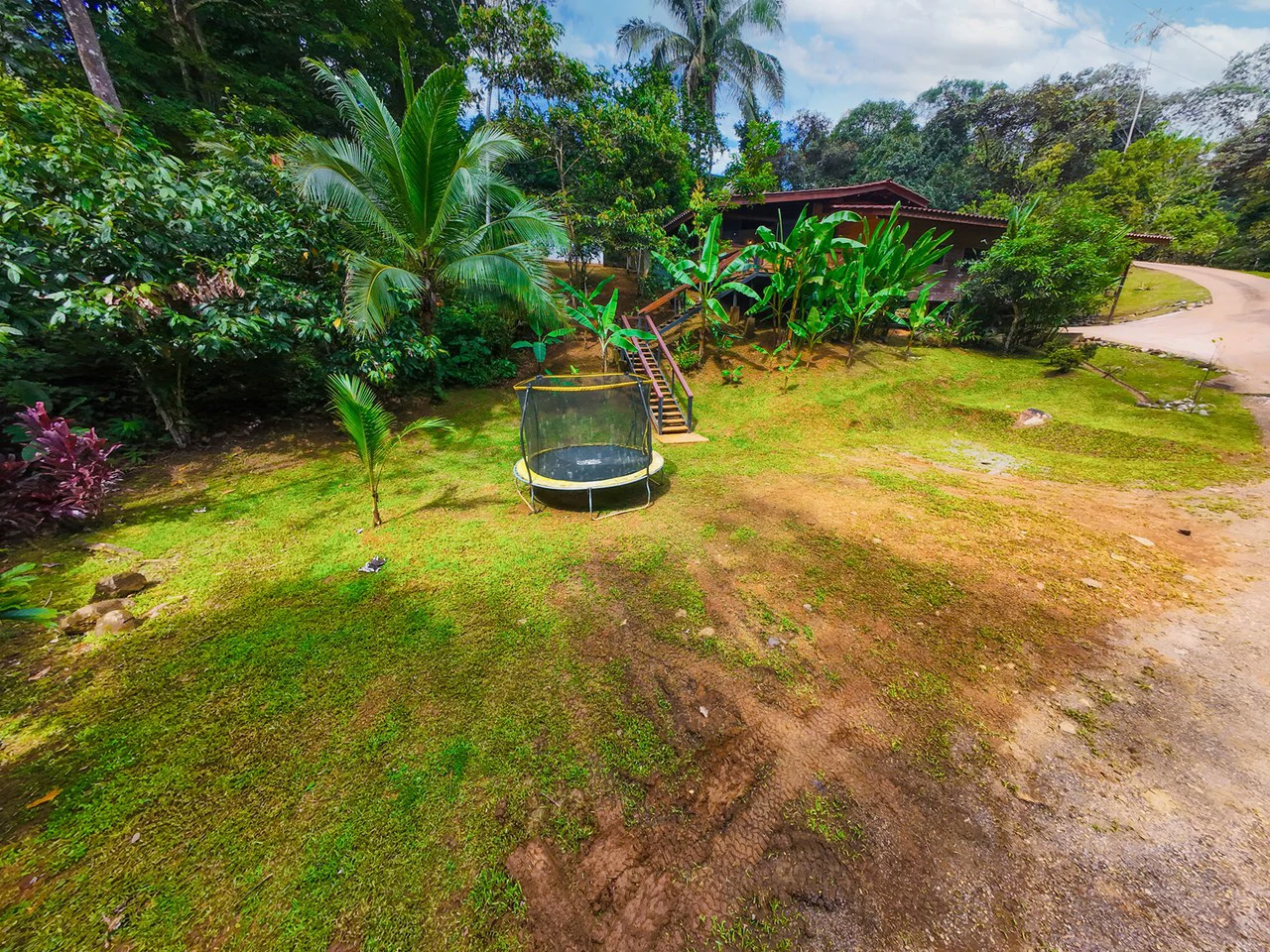 Serene Jungle Home + Guest Cabin on 3 Acres and River - Gallery image 22