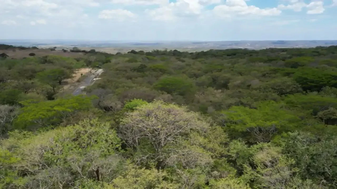 Land for Sale in Liberia, Guanacaste