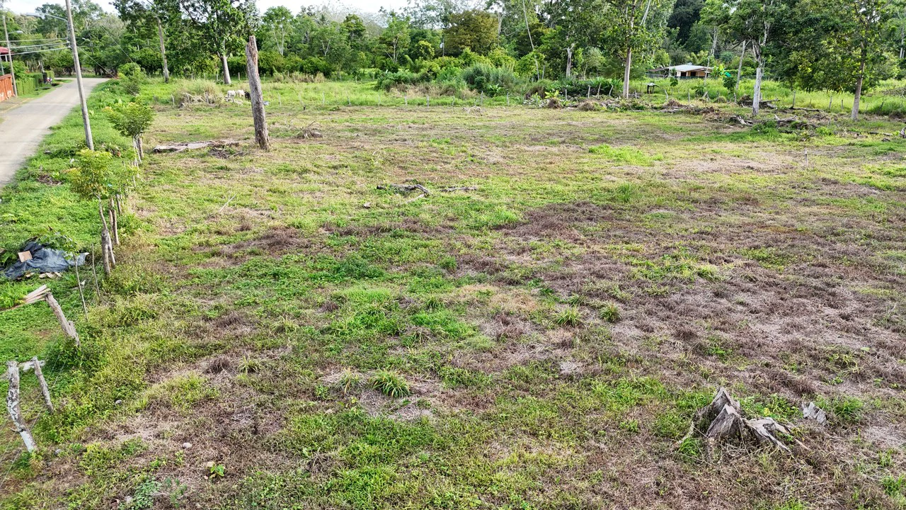 COMMERCIAL LOT IN CORONADO! MAIN HIGHWAY, 1.6 ACRES!: Mountain Home Construction Site For Sale in Puerto Cortés - Gallery image 13