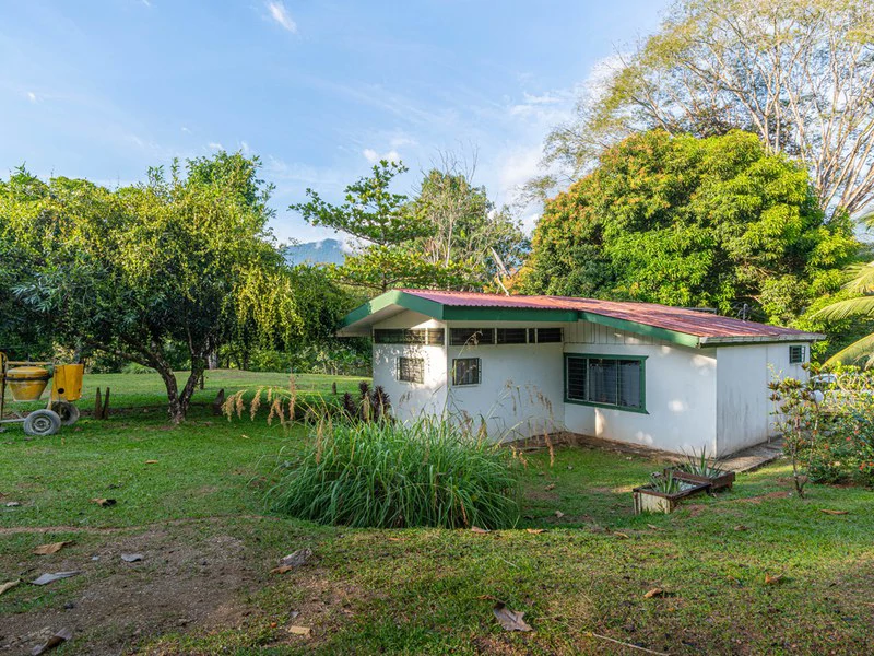 Ocean-View Oasis on Coveted Calle Perezoso - Gallery image 10