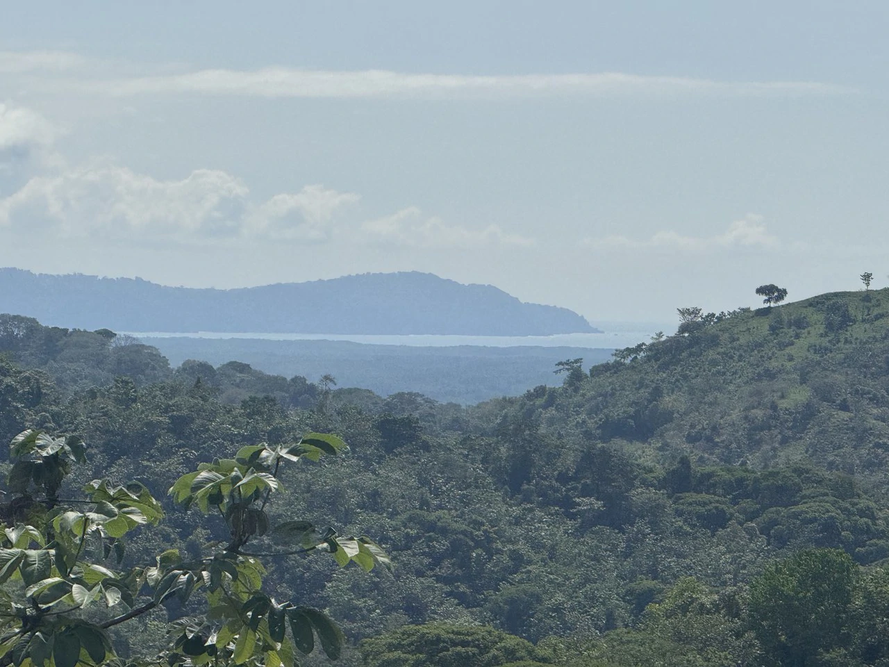 12 Acre Ocean View Farm in a Private Agricultural Community