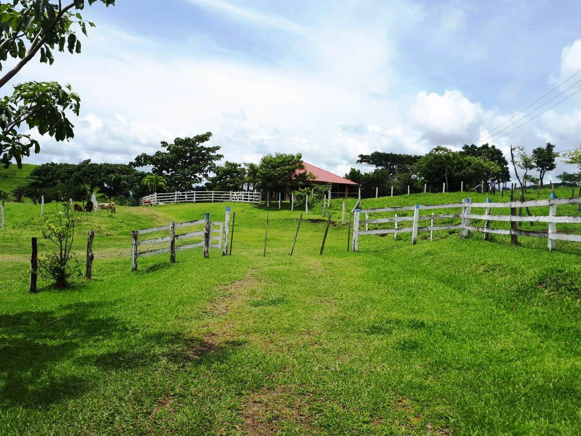 HACIENDA LOMBARDIA : Fully Operating Livestock Business - Gallery image 41