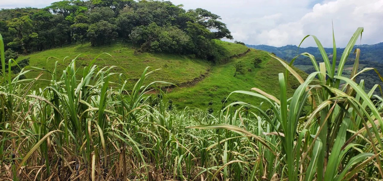 Home Construction Site For Sale in Piedades Norte