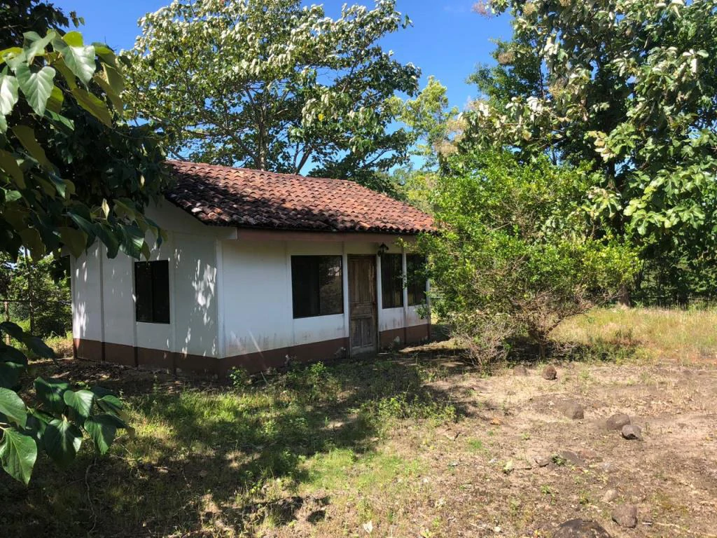 Teak Farm for Sale with a Hacienda Villa and 3 houses in La Cruz, 1 hour away from Liberia - Gallery image 31