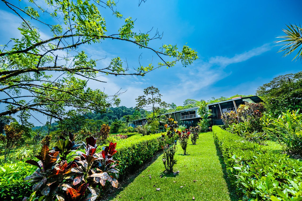Celeste Mountain Lodge: Mountain Hotel/Resort/Hostel For Sale in Bijagua - Gallery image 60