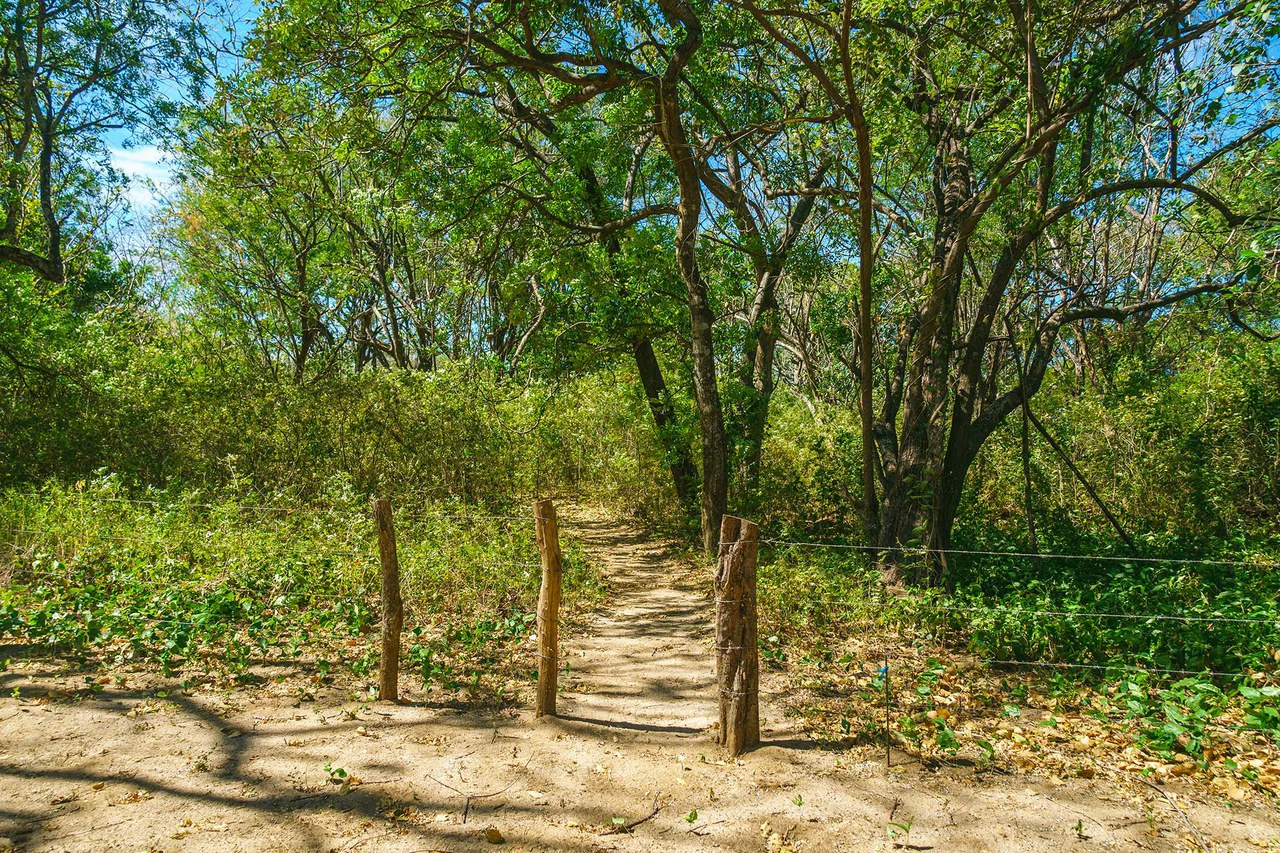 Playa Grande Lot #1: Titled Beachfront Estate Lot Playa Grande - Gallery image 16
