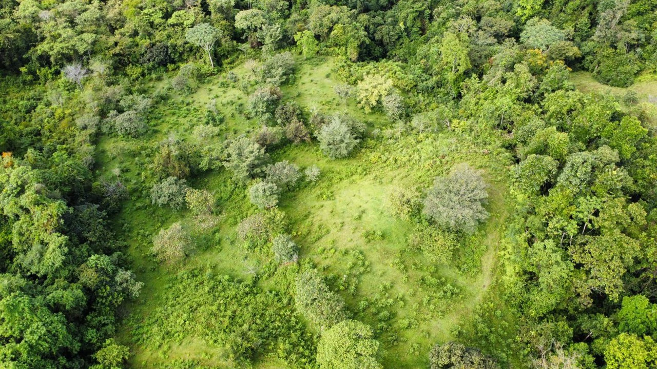 Propiedad en San Blas: Mountain Agricultural Land For Sale in La Linda General Viejo - Gallery image 22
