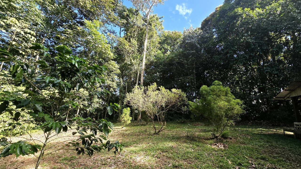 LOTE EN PEÑAS BLANCAS: Mountain Home Construction Site For Sale in El General - Gallery image 7