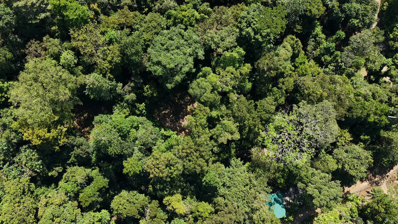 1.4-acre gated lot in Uvita - Gallery image 6